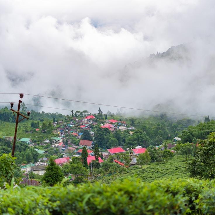 Outdoor terrace seating suitable for families in Berlin